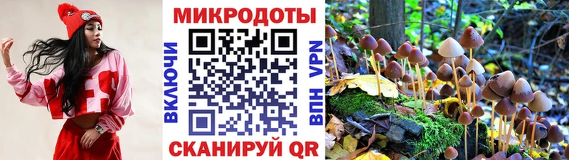 Галлюциногенные грибы мицелий  Кинель 